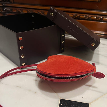 LE COEUR BAG 21 IN OLD BRICK SUEDE